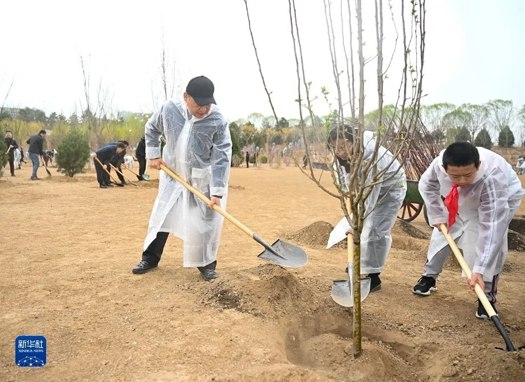 习近平在参加首都义务植树活动时强调 掀起造林绿化热潮 绘出美丽中国的更新画卷