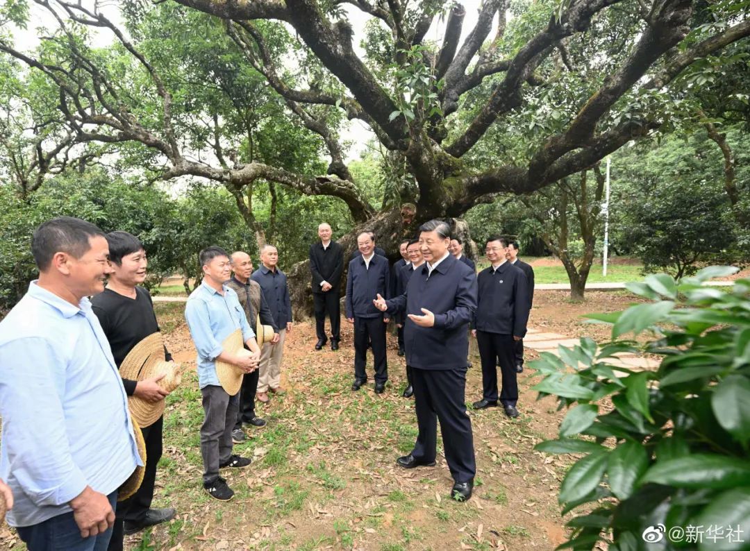 习近平：农村特色产业前景广阔